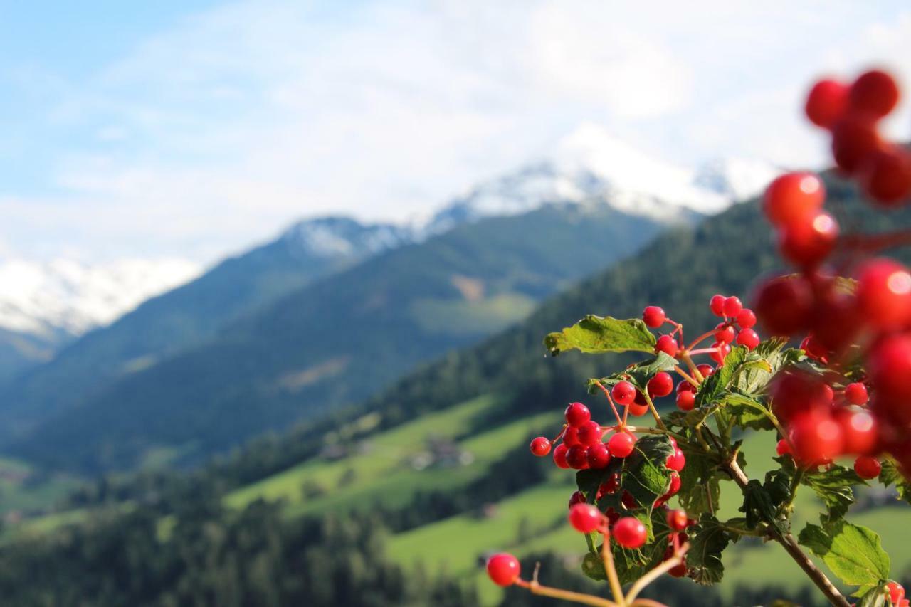 Moahof Lägenhet Alpbach Exteriör bild