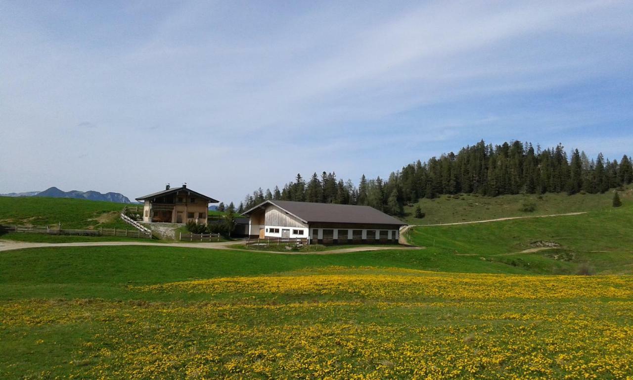 Moahof Lägenhet Alpbach Exteriör bild
