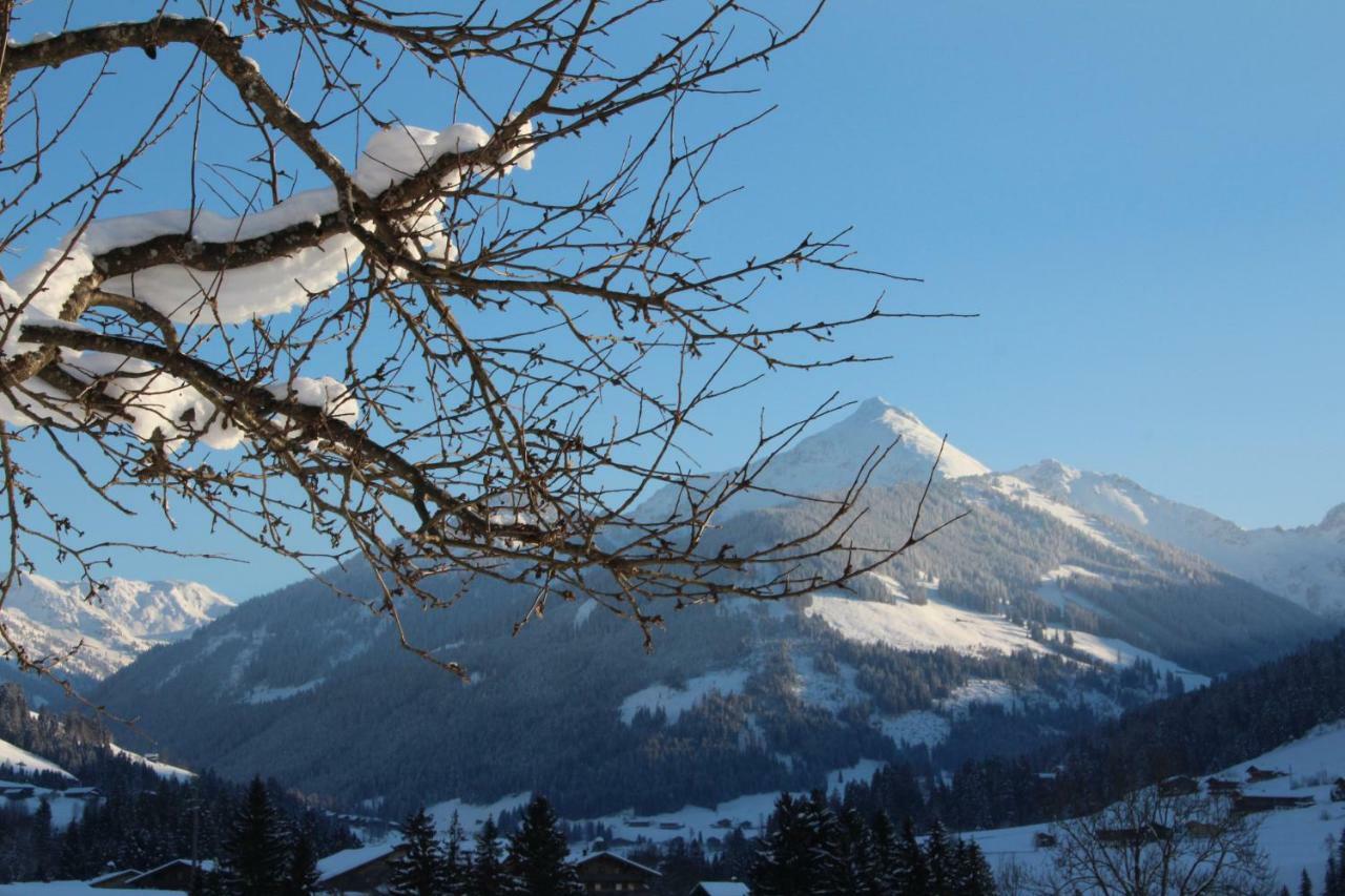 Moahof Lägenhet Alpbach Exteriör bild
