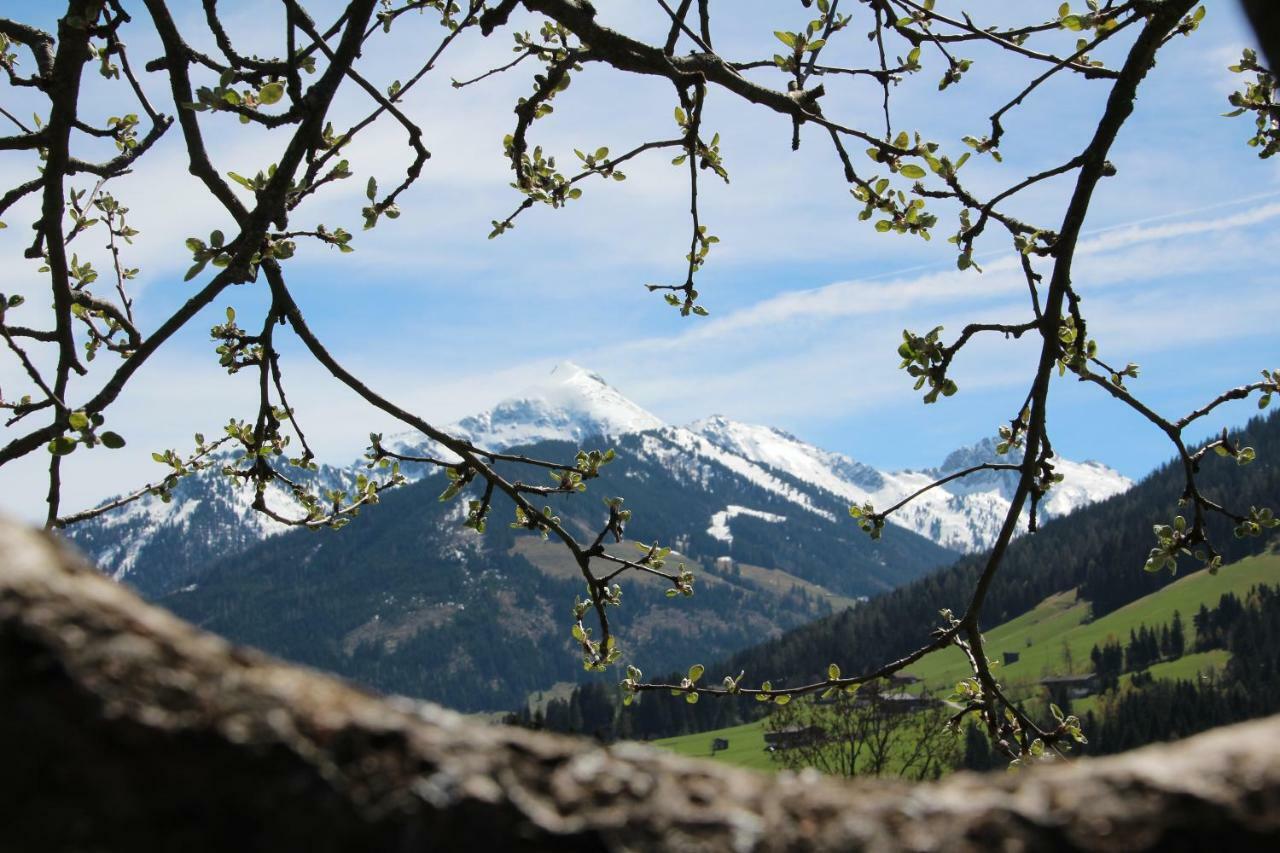 Moahof Lägenhet Alpbach Exteriör bild